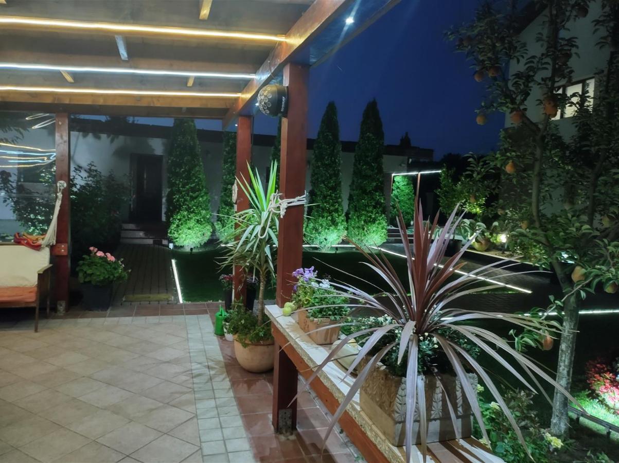Vila Ramona 奥托佩尼 外观 照片