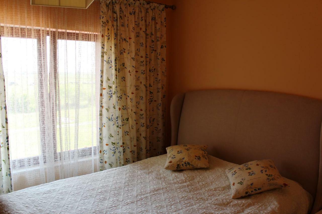 Vila Ramona 奥托佩尼 外观 照片