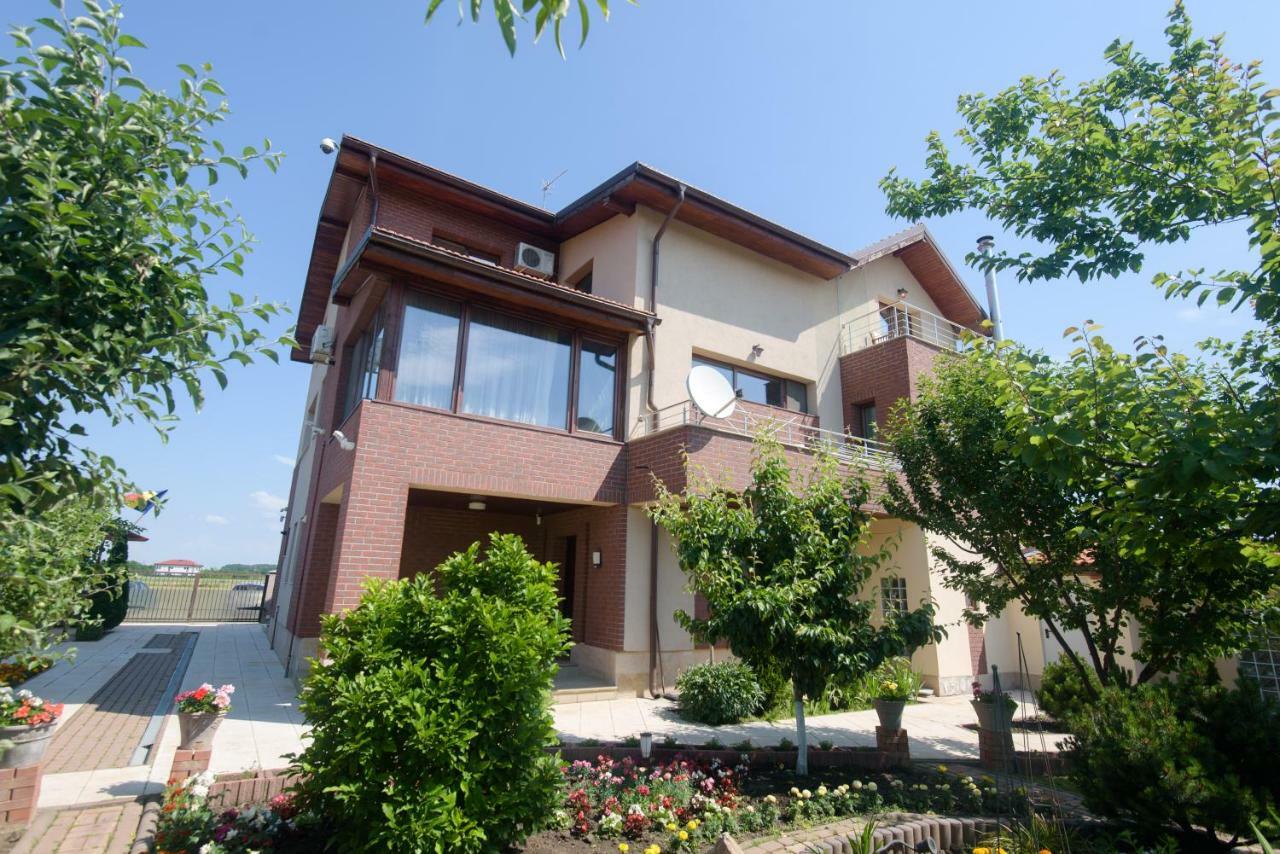 Vila Ramona 奥托佩尼 外观 照片